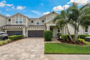613 OZONA VILLAGE DRIVE, PALM HARBOR, FL 34683 Sold 11/18/24