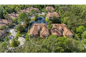 4257 PRESERVE PLACE, PALM HARBOR, FL 34685 Sold 12/06/24
