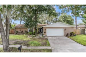 3809 ORANGEPOINTE ROAD, VALRICO, FL 33596 Sold 10/17/24
