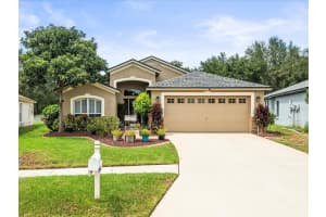 4446 HORSESHOE PICK LANE, VALRICO, FL 33594 Sold 11/16/24