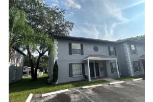 5160 SUNRIDGE PALMS DRIVE, TAMPA, FL 33617 Sold 03/27/25