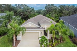 11012 BLUE MAGNOLIA LANE, PARRISH, FL 34219 Sold 12/02/24