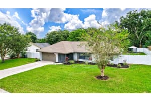 4536 MOHICAN TRAIL, VALRICO, FL 33594 Sold 02/21/25