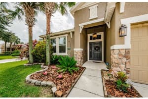 15622 STARLING WATER DRIVE, LITHIA, FL 33547 Sold 01/03/25