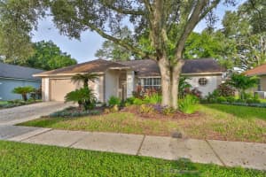 28211 TANGLEWOOD DRIVE, WESLEY CHAPEL, FL 33543 Sold 04/07/25