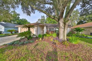 28211 TANGLEWOOD DRIVE, WESLEY CHAPEL, FL 33543 Sold 04/07/25