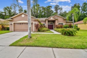1135 WYNDHAM LAKES DRIVE, ODESSA, FL 33556 Sold 02/27/25