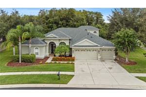 3135 MARBLE CREST DRIVE, LAND O LAKES, FL 34638 Sold 12/13/24