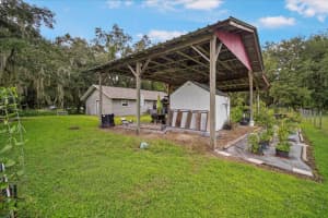 1223 COUNTY LINE ROAD, ZEPHYRHILLS, FL 33540 Sold 11/20/24