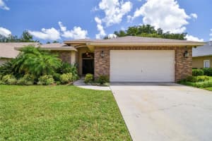 1506 PINEDALE MEADOWS COURT, PLANT CITY, FL 33563 Sold 10/23/24