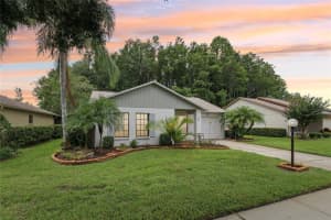 11540 PAMPAS DRIVE, NEW PORT RICHEY, FL 34654 Sold 02/05/25