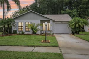 11540 PAMPAS DRIVE, NEW PORT RICHEY, FL 34654 Sold 02/05/25