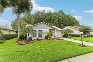 11540 PAMPAS DRIVE, NEW PORT RICHEY, FL 34654 Sold 02/05/25