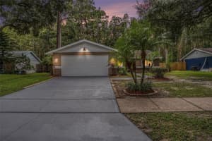 5344 BLACK PINE DRIVE, TAMPA, FL 33624 Sold 10/22/24