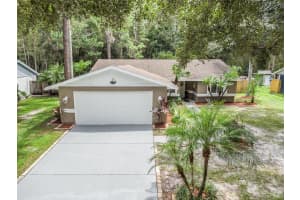 5344 BLACK PINE DRIVE, TAMPA, FL 33624 Sold 10/22/24