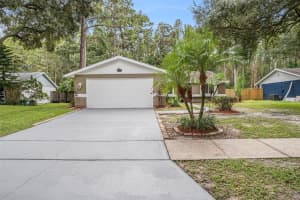 5344 BLACK PINE DRIVE, TAMPA, FL 33624 Sold 10/22/24