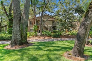 14201 SHADOW MOSS LANE, TAMPA, FL 33613 Sold 02/01/25