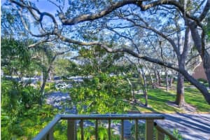 14201 SHADOW MOSS LANE, TAMPA, FL 33613 Sold 02/01/25