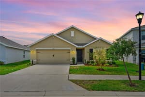 13581 SOUTHERN MAGNOLIA DRIVE, DADE CITY, FL 33525 Sold 10/25/24