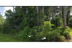 31 WOODLAWN DRIVE, PALM COAST, FL 32164 Sold 11/25/24