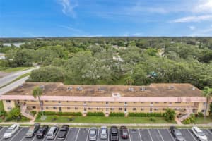 2003 GREENBRIAR BOULEVARD, CLEARWATER, FL 33763 Sold 10/25/24