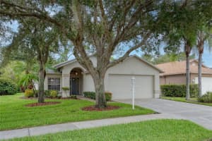 1331 HICKORY MOSS PLACE, TRINITY, FL 34655 Sold 05/29/25