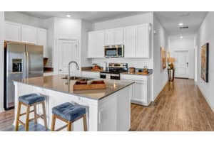 223 PUMA LOOP, GROVELAND, FL 34736 Sold 01/13/25
