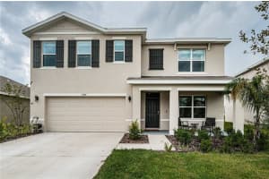 8367 Ender Hills Dr, WESLEY CHAPEL