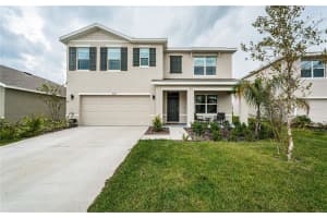8367 ENDER HILLS DRIVE, WESLEY CHAPEL, FL 33545 - MLS#MFRTB8302857