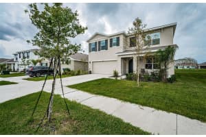 8367 ENDER HILLS DRIVE, WESLEY CHAPEL, FL 33545 - MLS#MFRTB8302857