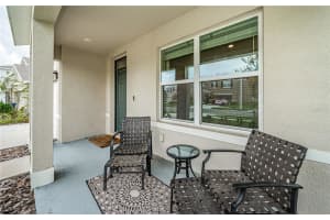 8367 ENDER HILLS DRIVE, WESLEY CHAPEL, FL 33545 - MLS#MFRTB8302857