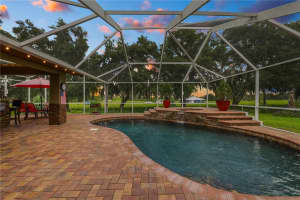 1238 LAKE LOOP, WINTER HAVEN, FL 33880 Sold 11/04/24