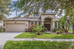 10831 BREAKING ROCKS DRIVE, TAMPA, FL 33647 Sold 12/23/24