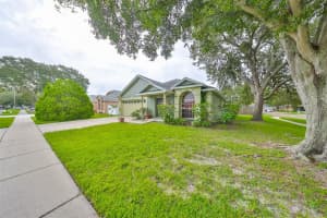 5916 BUTTON QUAIL COURT, TAMPA, FL 33624 Sold 10/21/24