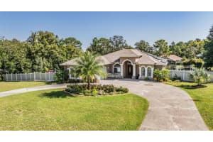 1392 MAXIMILIAN AVENUE, SPRING HILL, FL 34609 Sold 11/14/24