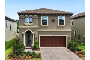 3946 MAURICE AVENUE, ODESSA, FL 33556 Sold 12/30/24