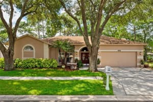 9531 NORCHESTER CIRCLE, TAMPA, FL 33647 Sold 12/06/24