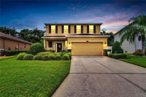 2625 HOLLY BLUFF COURT, PLANT CITY, FL 33566 Sold 12/11/24