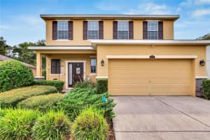 2625 HOLLY BLUFF COURT, PLANT CITY, FL 33566 Sold 12/11/24