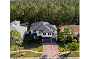 12906 STARLING DRIVE, ODESSA, FL 33556 Sold 12/12/24