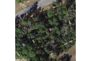 SW 55 AVENUE ROAD, OCALA, FL 34473 Sold 05/22/25