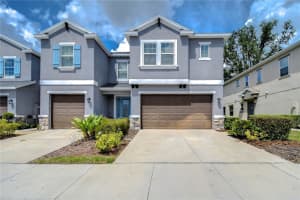 6721 CITRUS CREEK LANE, TAMPA, FL 33625 Sold 10/21/24