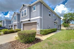 6721 CITRUS CREEK LANE, TAMPA, FL 33625 Sold 10/21/24