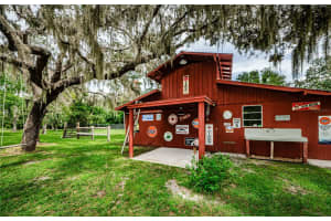 10128 SHADY DRIVE, HUDSON, FL 34669 Sold 12/06/24