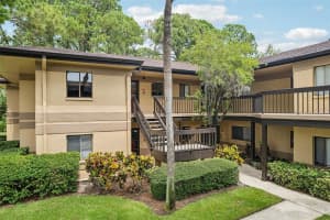 2687 SABAL SPRINGS CIRCLE, CLEARWATER, FL 33761 Sold 10/15/24