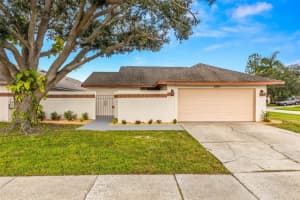 6901 SILVERMILL DRIVE, TAMPA, FL 33635 Sold 11/26/24