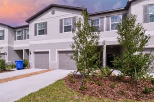 10444 SHADY PRESERVE DRIVE, RIVERVIEW, FL 33578 Sold 12/18/24