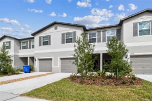 10444 SHADY PRESERVE DRIVE, RIVERVIEW, FL 33578 Sold 12/18/24