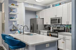 17104 CARRINGTON PARK DRIVE, TAMPA, FL 33647 Sold 07/28/25