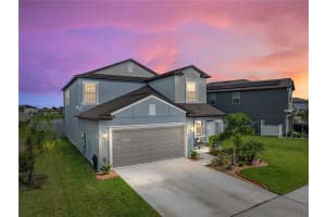 12726 MAPLE BONSAI DRIVE, RIVERVIEW, FL 33579 Sold 12/07/24